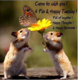 Happy Tuesday quotes cute animals...:)God Creations, Happy Mondays ...