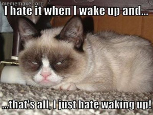 GC i hate it when i wake up - sz. *