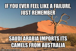 And It’s Still 95% Desert | Funny Pictures and Quotes