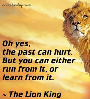 ... or learn from it. ~ The Lion King Source: http://www.MediaWebApps.com