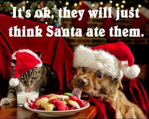 funny-pictures-cat-dog-christmas-cookies-santa-ate-them.jpg