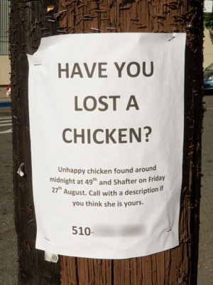 ... stress but it certainly lead to funny lost pet signs in these cases