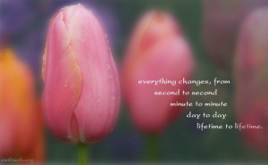 everything changes, from second to second, minute to minute, day to ...