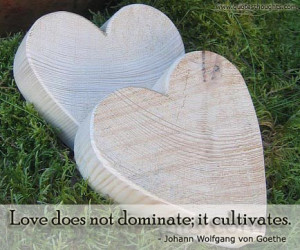 Love Quotes – Love does not dominate
