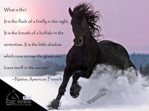 Great picture and quote from Horse Coupon Book.