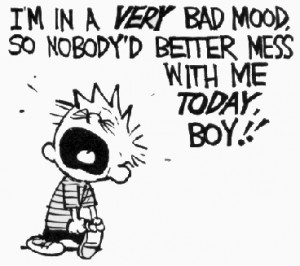 Calvin & Hobbes Quote