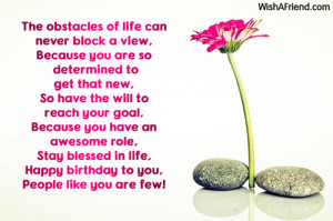The obstacles of life can never block a view,