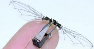 ... insect spy drone for urban areas already in production funded by the