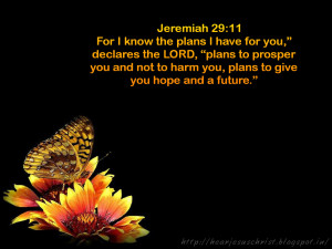 Bible Verse Wallpaper - Jeremiah 29:11