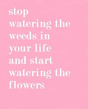 Stop watering weeds Quote