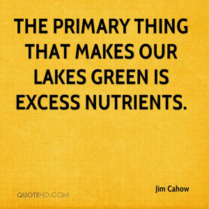 The primary thing that makes our lakes green is excess nutrients.