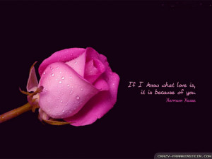 romantic pictures with quotes romantic quotes wallpapers crazy ...
