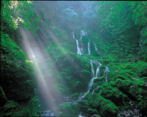 Pearls of Inner Significance