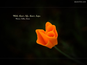 Beautiful flower with hop quotes wallpapers