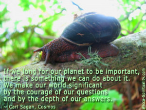 We Make The World Significant quote © wicca-spirituality.com