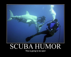 funny scuba diving pictures