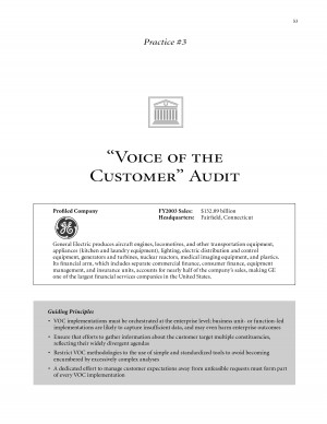 voice of customer template