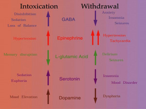 Estimating the alcohol withdrawal symptoms loop since really due to ...