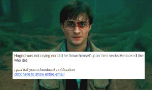 Lots of Irish people are getting spammed with Harry Potter quotes ...