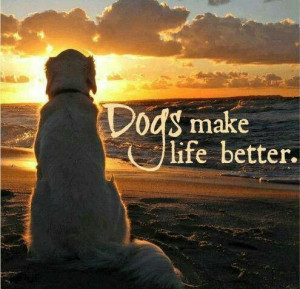 Dogs make things better quote