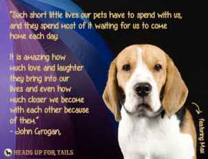 Such short little lives our pets have to spend with us, and they spend ...