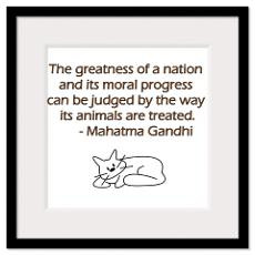 Gandhi Quote With Cat...