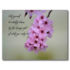 cherry blossom quotes source http quoteko com rumi quotes postcards ...