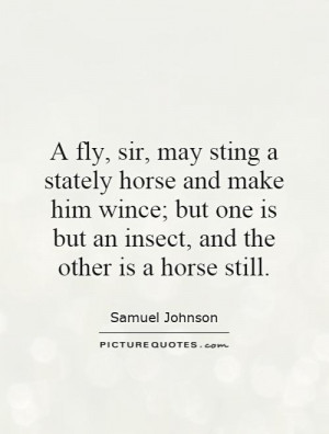 Horse Quotes Fly Quotes Samuel Johnson Quotes