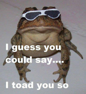 toad you so