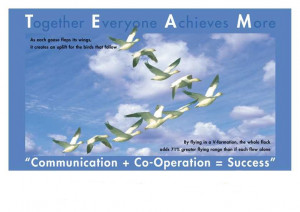 teamwork life experience quotes