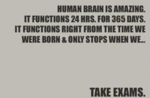 exams #funny #funnyquotes #school #lab #human #brain #amazing