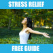 stress relief free guide free a romance of the republic