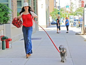 BETHENNY FRANKEL Canine companion Cookie leads the way for the wind ...