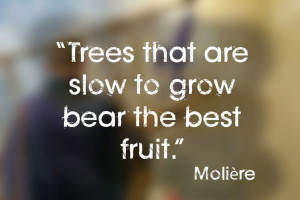 ... that are slow to grow bear the best fruit.” | Inspirational Quotes