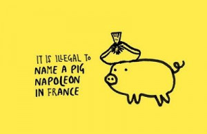 Napoleon the Pig sounds awesome though...
