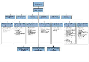Organizational Structure