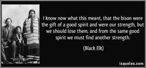 ... from the same good spirit we must find another strength. - Black Elk