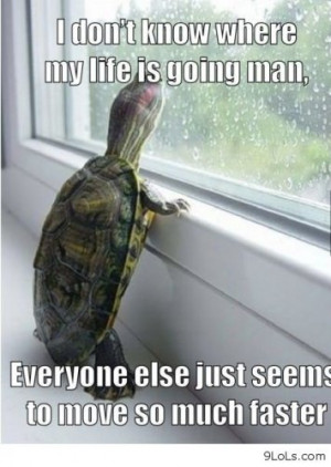 funny_quotes_funny_animals_funny_easter_funny_conversations_funny ...