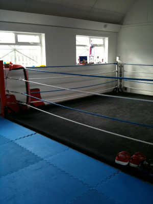 viewing gallery for inside boxing ring displaying 19 images for inside ...