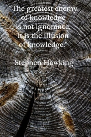 ... ignorance, it is the illusion of knowledge.