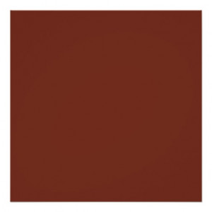 Copper Rust Brown Red Color Trend Blank Template Print