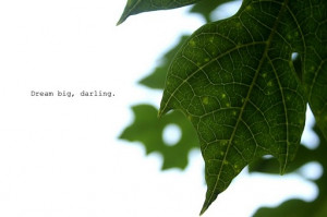 green, leaf, light, nature, photography, quote, typography
