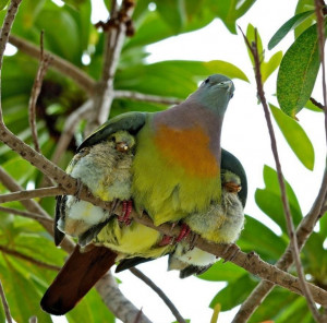 لـ حفظ الموضوع والإستفاده منه إستخدمى ...