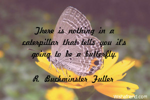 Happy Birthday Butterfly Quotes Butterfly-there is nothing in