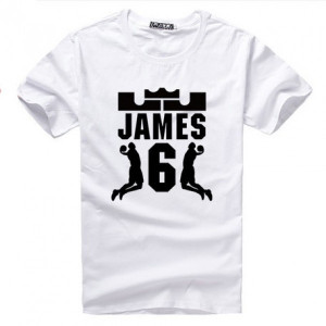 2013 NBA Champion Miami Heat Lebron James 6 Dunk logo t shirt details: