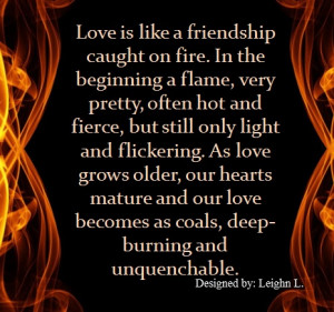Love is like a friendship caught on fire