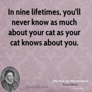 In nine lifetimes, you'll never know as much about your cat as your ...
