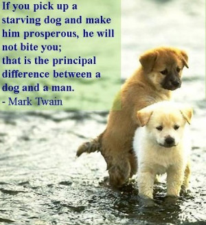 Dog Love Quotes and Sayings