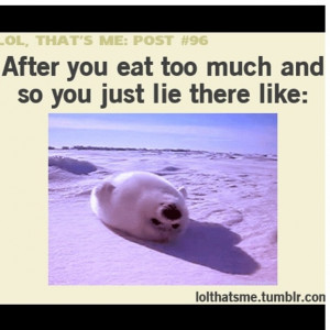 Lolthatsme Quotes #lolthatsme. via taylor