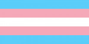 13 March 2015, Seminar on juridical position of Transgender (Dutch)